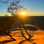 Sonnenaufgang Sahara Yoga Retreat
